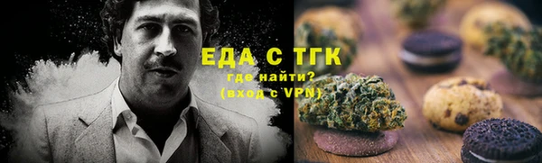 индика Бородино