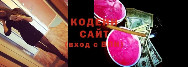индика Бородино