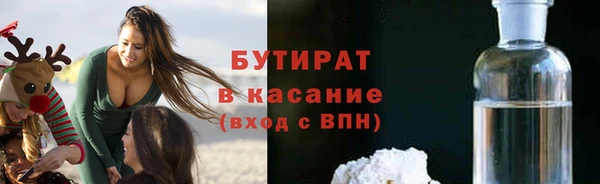 индика Бородино