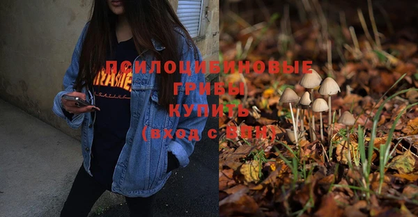 индика Бородино