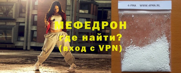 индика Бородино