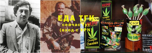 индика Бородино