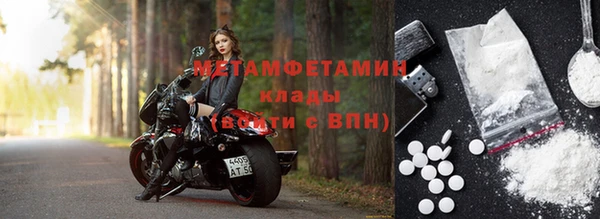 индика Бородино