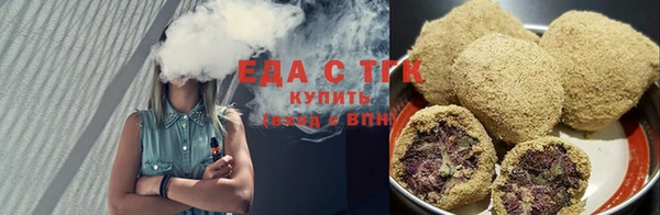 индика Бородино