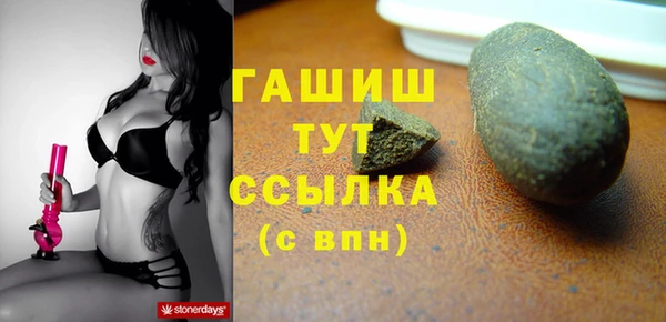 индика Бородино