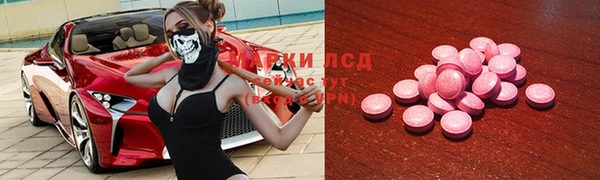 индика Бородино