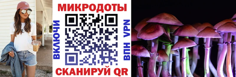 Галлюциногенные грибы мухоморы  где продают   Новопавловск 